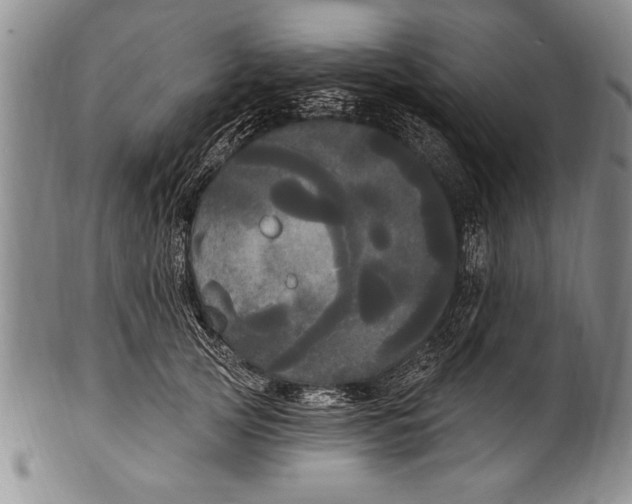 X0000100330753200806261302