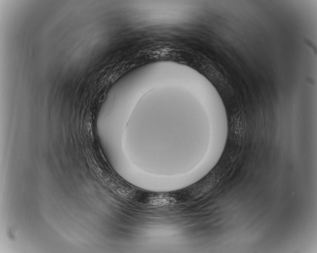 X0000100330754200806261302