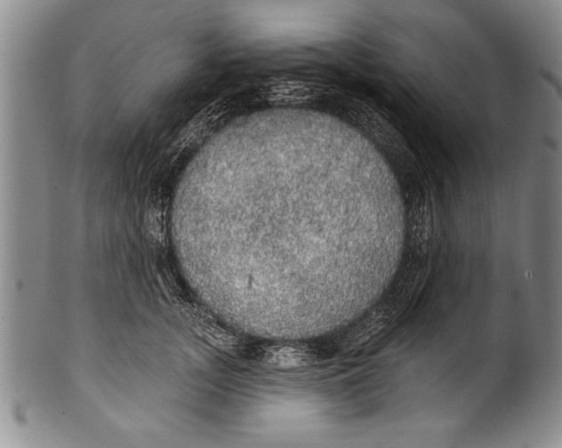 X0000100330755200806261302