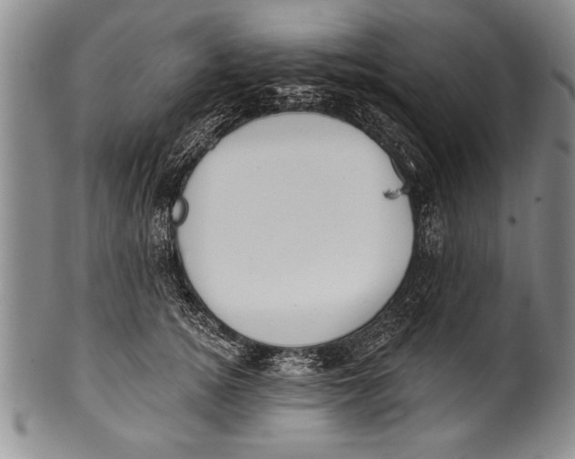 X0000100330756200806261302