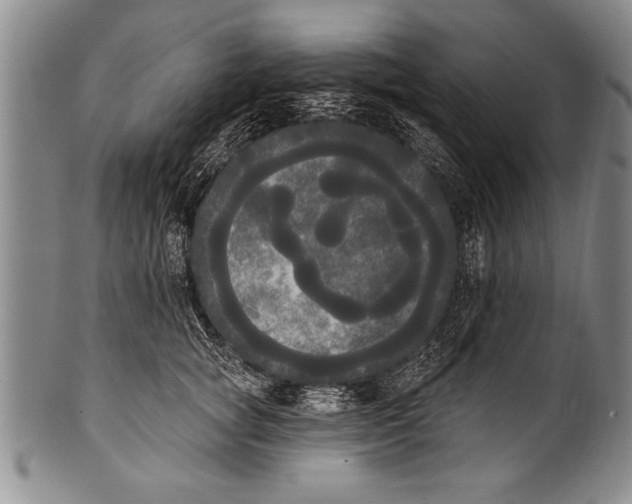 X0000100330757200806261302