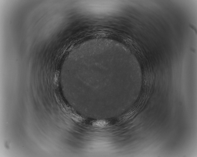 X0000100330759200806261302