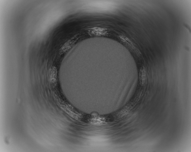 X0000100330760200806261302