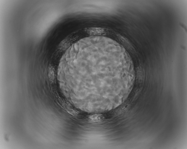 X0000100330761200806261302