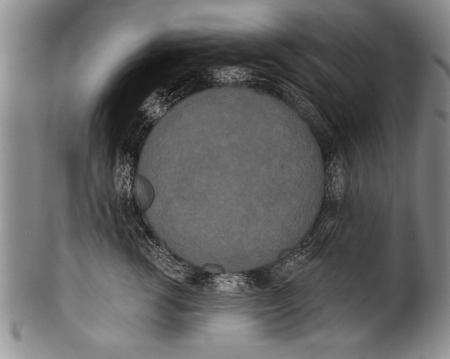 X0000100330762200806261302