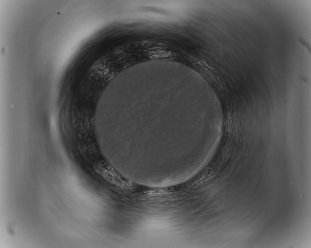 X0000100330763200806261302