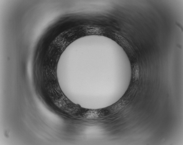 X0000100330764200806261302