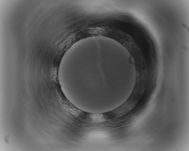 X0000100330767200806261302