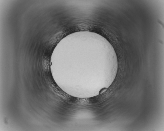 X0000100330768200806261302