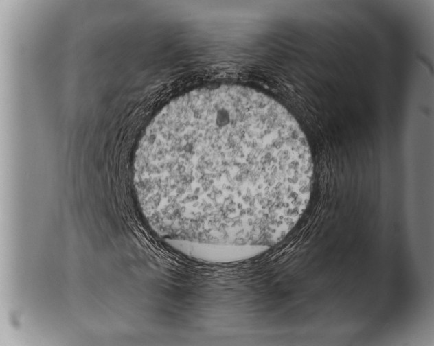 X0000100330769200806261301