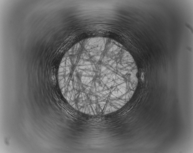 X0000100330771200806261301