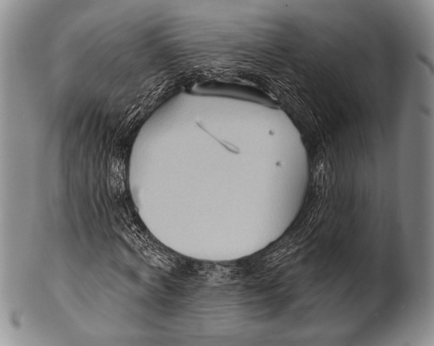 X0000100330772200806261301