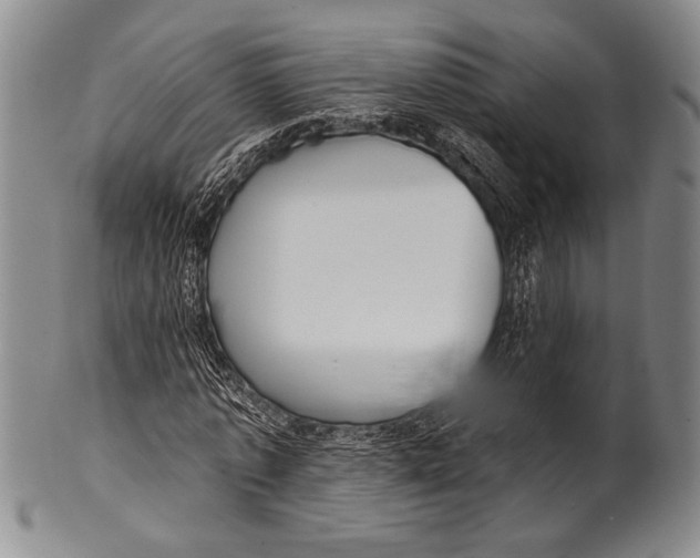 X0000100330773200806261301