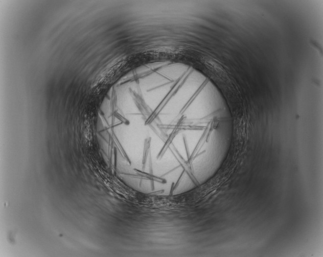 X0000100330774200806261301