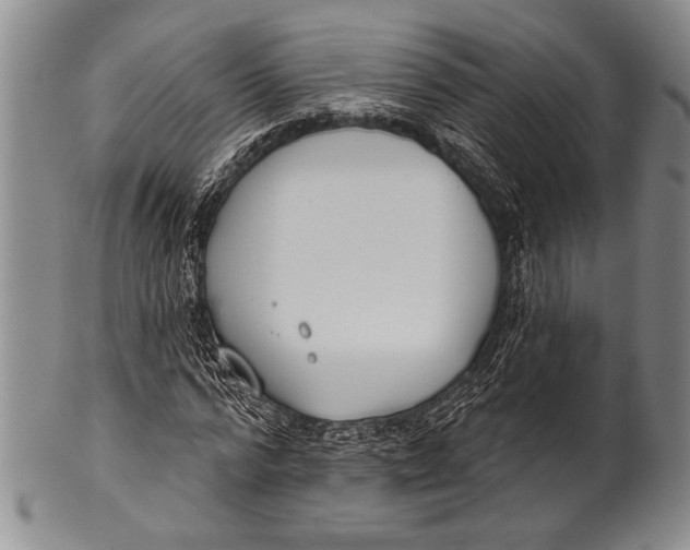 X0000100330776200806261301