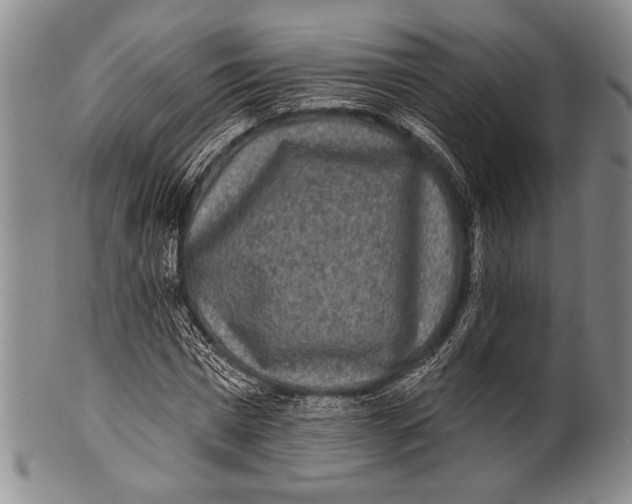 X0000100330777200806261301