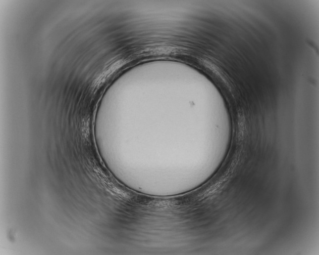 X0000100330778200806261301