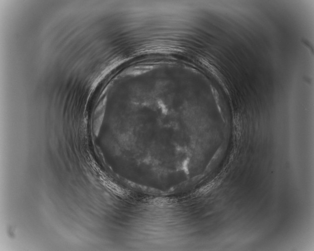 X0000100330779200806261301