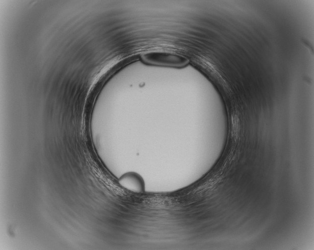 X0000100330780200806261301