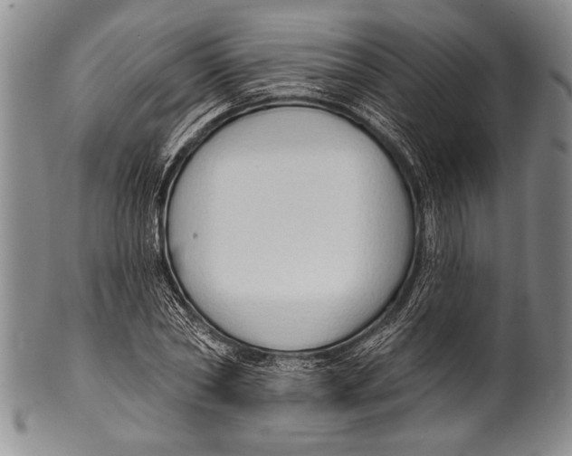 X0000100330782200806261301