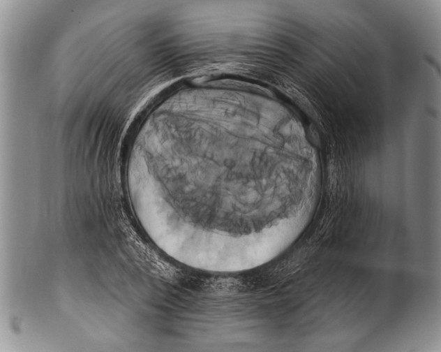 X0000100330784200806261301