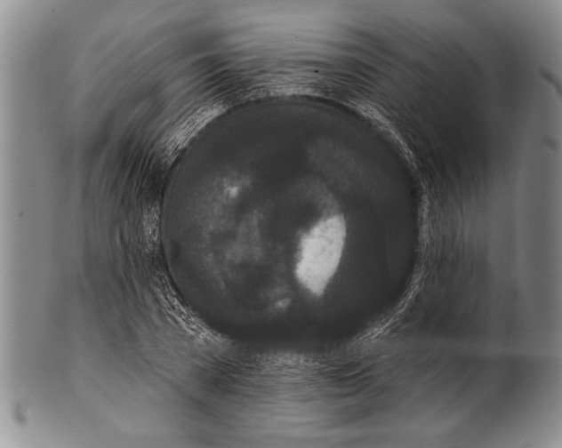 X0000100330785200806261301