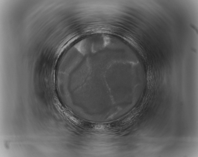 X0000100330790200806261301