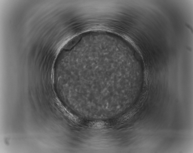 X0000100330791200806261301