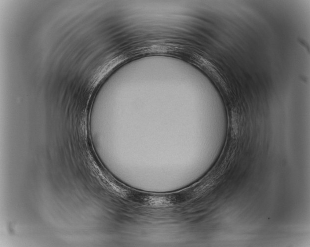 X0000100330794200806261301