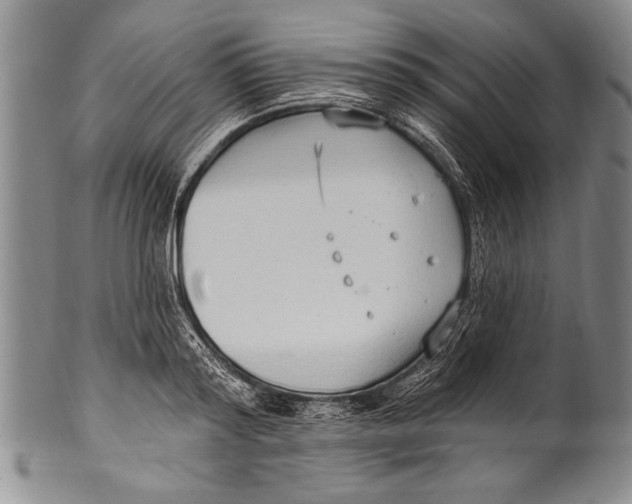 X0000100330796200806261301