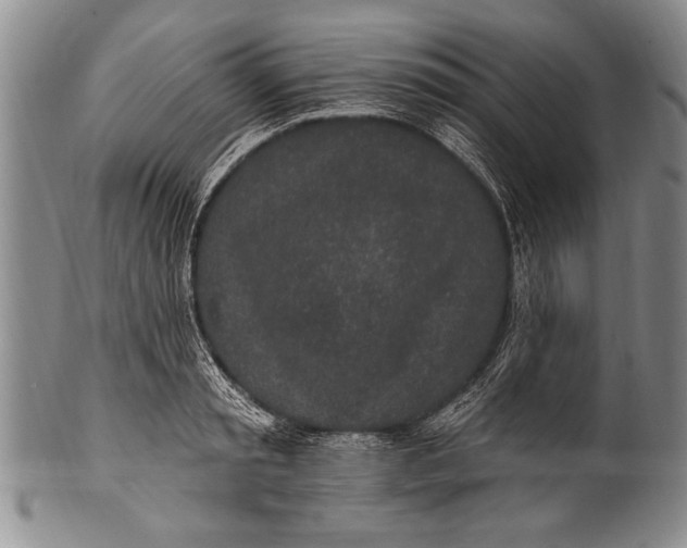 X0000100330797200806261301