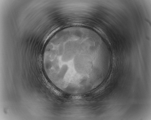 X0000100330798200806261301