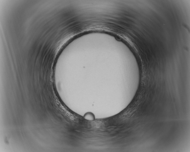 X0000100330799200806261301