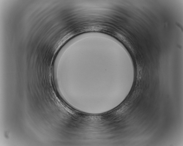 X0000100330802200806261300