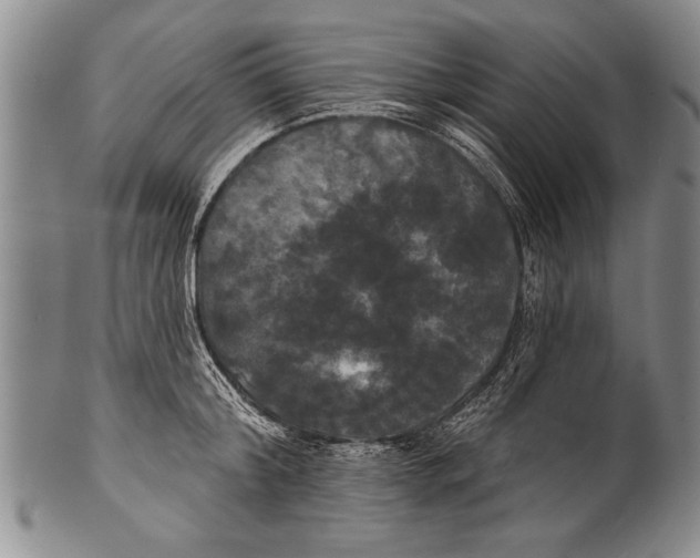 X0000100330804200806261300