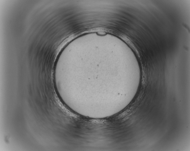 X0000100330805200806261300