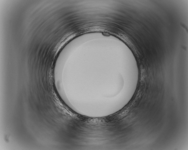 X0000100330806200806261300