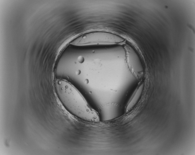 X0000100330807200806261300