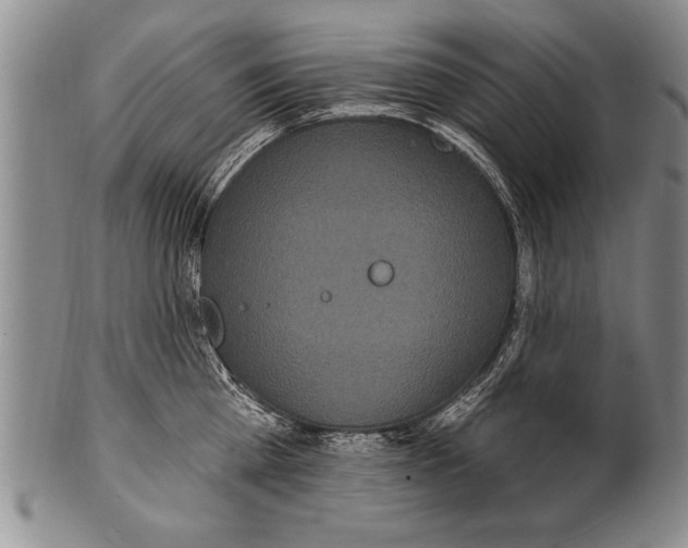 X0000100330809200806261300