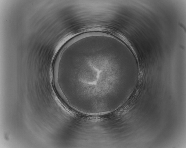 X0000100330811200806261300