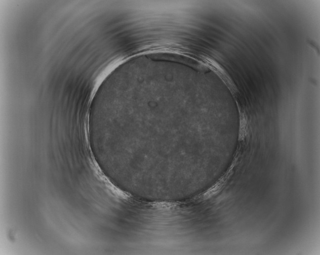 X0000100330812200806261300