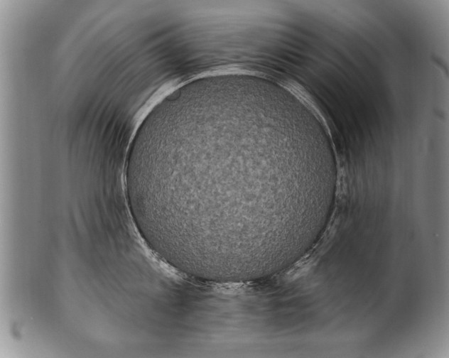 X0000100330813200806261300