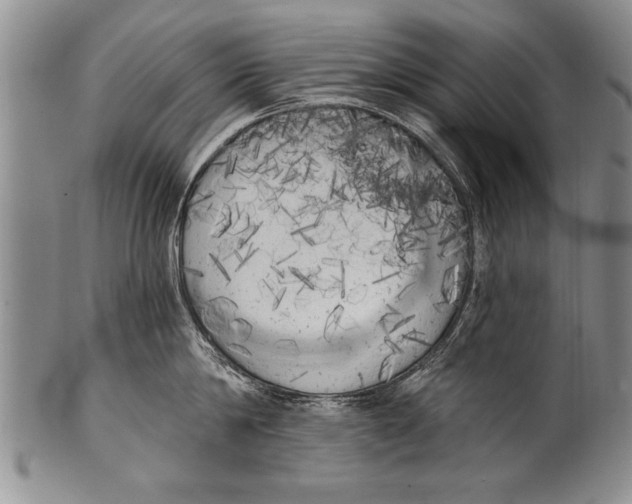 X0000100330814200806261300