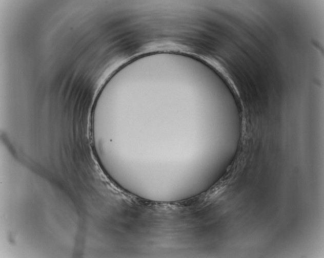 X0000100330815200806261300