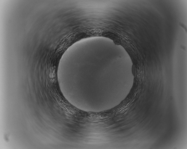 X0000100330818200806261259