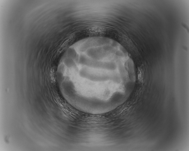 X0000100330819200806261259