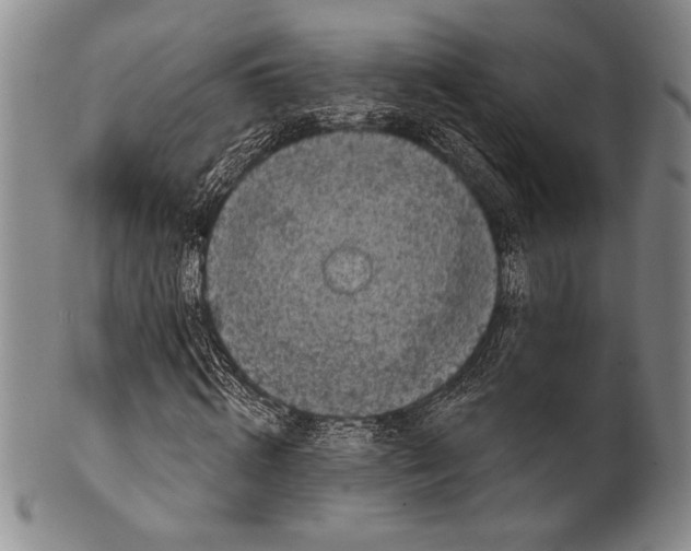 X0000100330820200806261259