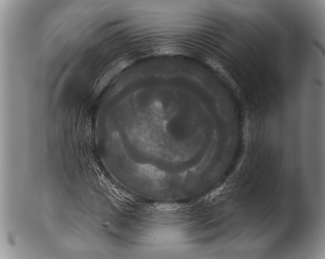 X0000100330825200806261259