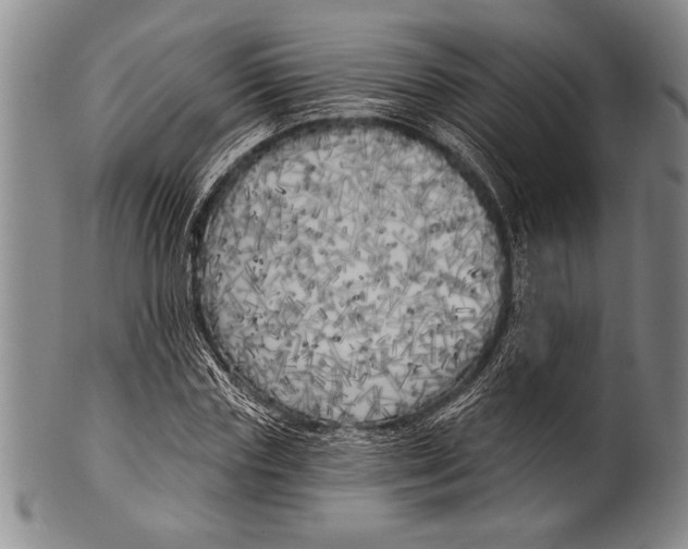 X0000100330827200806261259