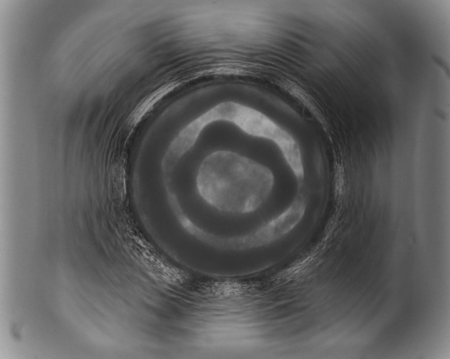 X0000100330829200806261259